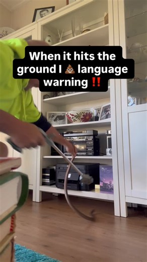 Hooked Up on Instagram: "When your 93 year old neighbour calls to say there is a snake in her house surly it’s a nice big python that is the culprit 🐍 nope had to be the second most dangerous snake on the planet!! Hooked Up to the rescue, he had got himself up behind a cabinet and didn’t want to come out finally dropped down scaring the 💩 out of me before I could get hands on him. Snake was released near the river hopefully never to return😂 #snake #hunting #snakes #brownsnake #australia"