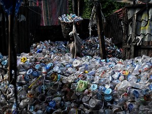 Global plastic waste is projected to triple by 2060: OECD