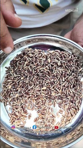 Black Wheat 🌾 | Black Wheat Benefits Explained