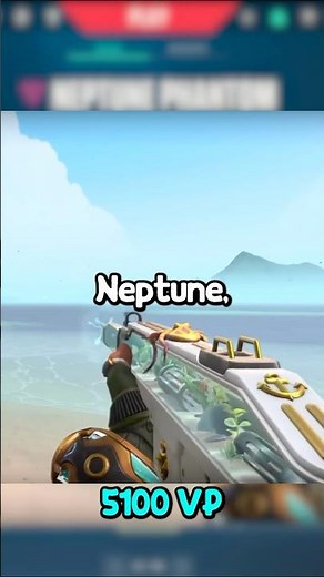 VALORANT's BEST Budget Skins!