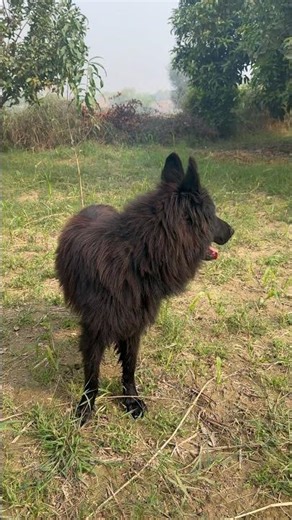 Always alert, always ready | GSD