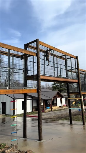 2 questions we’ve been asked a lot lately about spidermonkey Keke | Spider Monkey