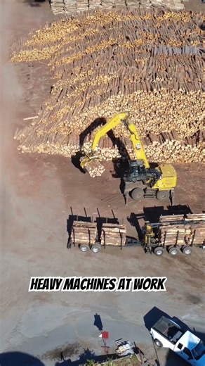 Massive Machine Moving Huge Logs | Heavy Equipment at Work #shorts