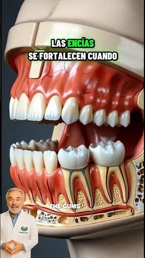 🦷 TUS ENCÍAS TAMBIÉN NECESITAN APOYO #encíasinflamadas #sangradodeencías #encíassangrantes #remedio