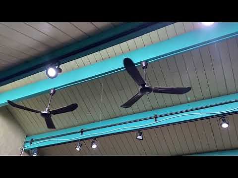 Canarm CP56 Industrial Ceiling Fans at La Ronde (Demonstration Video) (2023)
