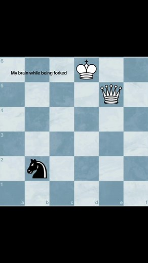 Exploring the Humorous Side of Chess in Memes