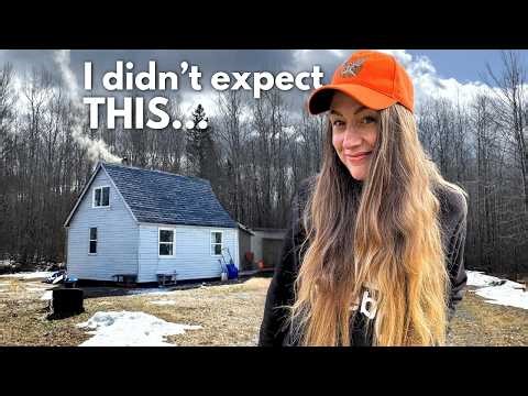 Living Alone Off-Grid... I Didn't Expect This