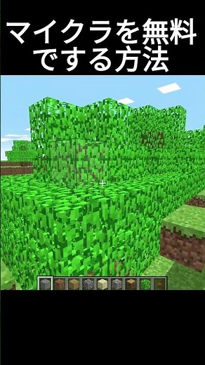 マイクラを無料でやる方法/マイクラ