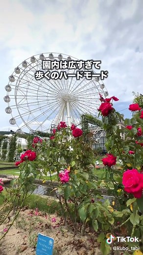 長崎にある「ハウステンボス」を1日で遊び切れるか検証してきたよ〜🙌 ※体験中の動画は許可をいただいて撮影しています 価格やサービス内容などは変わる可能性があるため、最新の情報は公式ホームページでご確認ください🙇‍♂️🙇‍♀️#ハウステンボス #九州 #テーマパーク