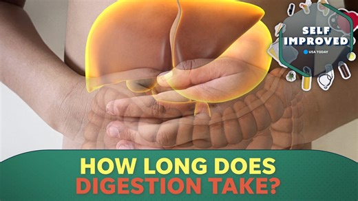 How long does digestion take? An expert explains