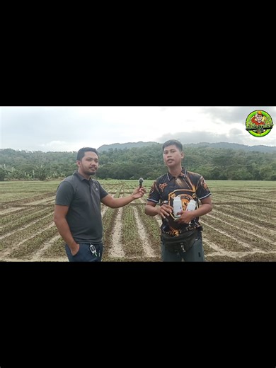 Effective Herbicides for Onions and Vegetables