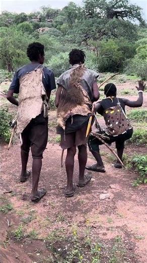 Ancient Survival: Hadzabe Men Hunting for Food in the Wild Forest