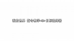 我的世界 网易版指令教学 目标选择器