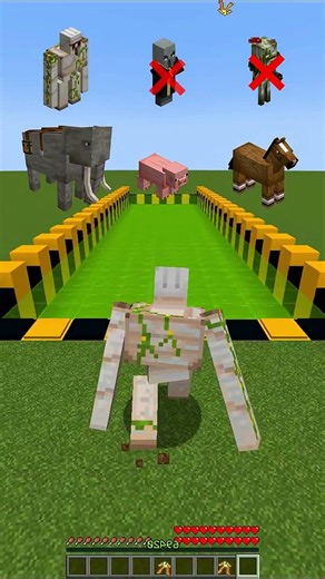 Who Wins The Minecraft Obby