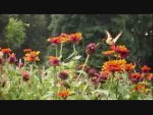 A Summer Song Lyrics by Chad And Jeremy