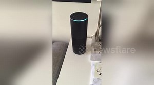 New Amazon Echo speaker 'stuck in an infinite loop'