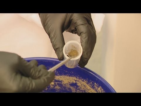 Maine researchers develop PFAS test for plants