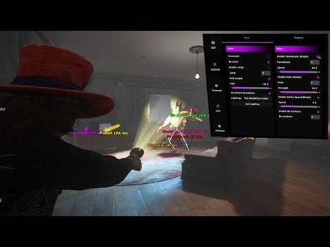 Playing Stretched Resolution Without Black Bars With Best DBD Cheat