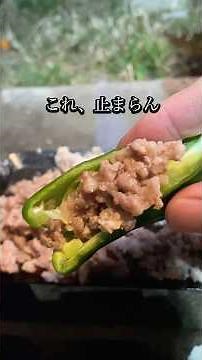 これ、止まらん。生ピーマン×ひき肉