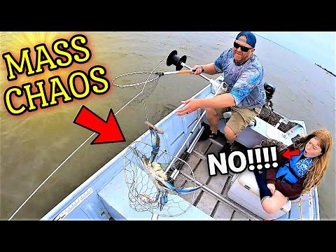 Crab Traps vs Trotline Crabbing Chesapeake Bay Blue Crabs