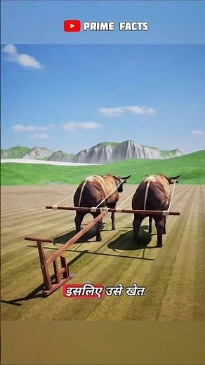 How Smart Humans Improved the Plough