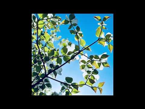 水色のワゴン - HI FI SET（ 山本潤子 山本俊彦, 大川茂）