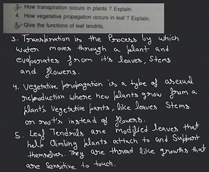 How transpiration occurs in plants ? Explain. How vegetative pr... | Filo