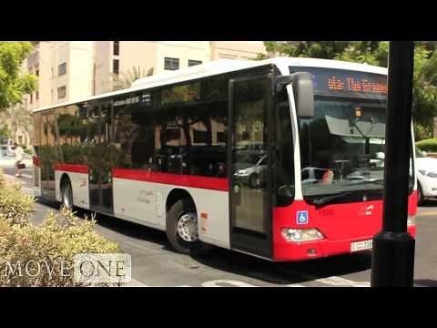 How To Guides: Using the Public Bus