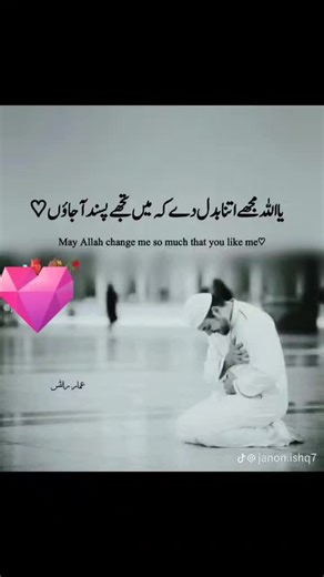 dddd (@ghulammushtaba6)’s videos with original sound - dddd