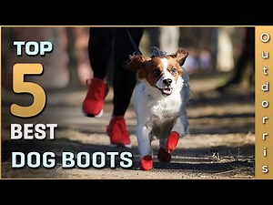 Top 5 Best Dog Boots Review in 2025