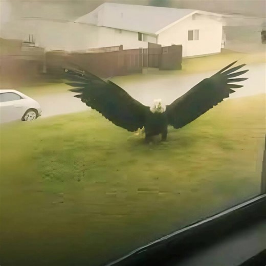 2.8K views · 12 reactions | ✨ That day, when I first noticed the...