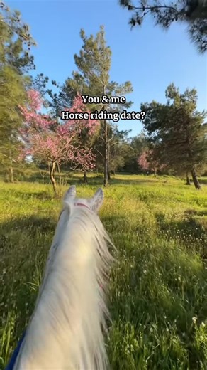 ‎Ali Dokhy | علّي الدّوخي‎ on Instagram: "horse riding date?🐎🫀"