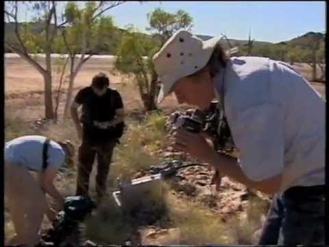 Archean Stromatolites from the Strelley Pool Chert, Western Australia