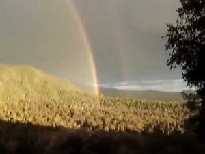 10 Hours Double Rainbow Song