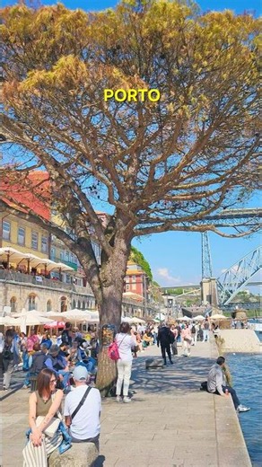 Lively Porto PORTUGAL