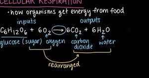 Cellular respiration