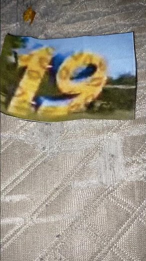 Sesame Street 19 Things