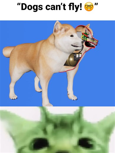 Dogs Can Fly: Hilarious Memes and Funny Moments