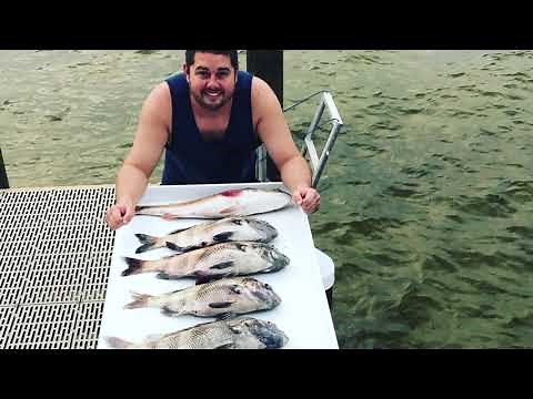 Rapala Electric Fillet Knife!!!!!