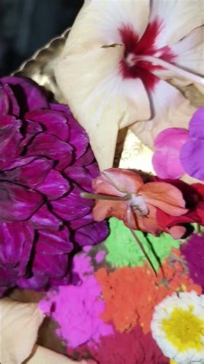 Don't be afraid, don't bow down ••💖#premanand_ji_maharaj​ #ytshorts​ #motivation​ #shortsfeed​ #s...