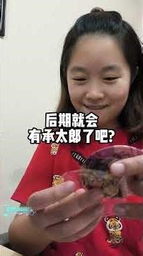 一起来开Jojo吧唧盲盒 #jojosbizzareadventure #blindbox #funny