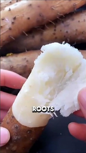 Digging for Delicious Tubers