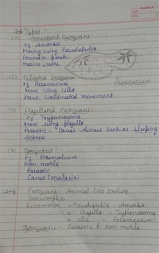 Score 95+ in Biology 📊 | Chapter 2 Quick Notes Class 11 Biological classification