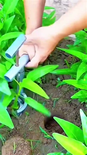 Digging small planting holes with a hand auger tool