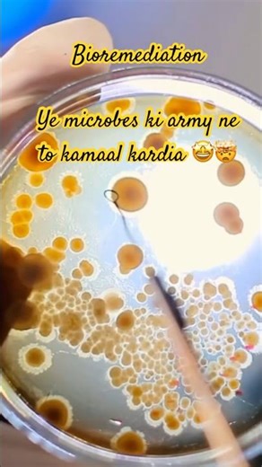 Bioremediation Explained !#bioremediation #upscshorts #pollution #cleanindia #geographyfacts #boards