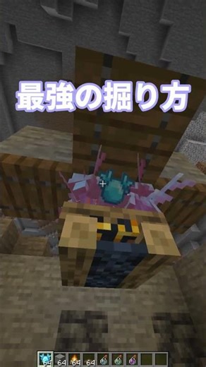 かわいそうなアレイ #マイクラ #minecraft #マインクラフト #裏技