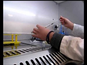 le repiquage des champignons.avi