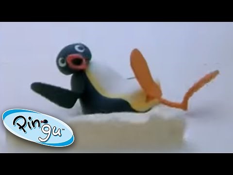Pingu And His Friends Play Too Loudly @Pingu Official Channel