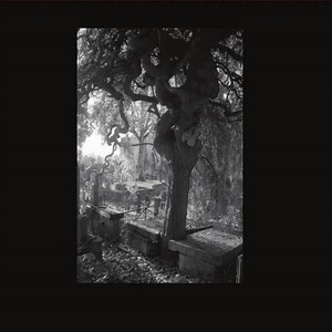 Spleen XXX - Poems Of Charles Baudelaire