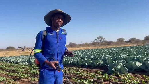 🌱✨ Understanding fertilizers and their application is crucial for successful farming! At Bokamoso Farmers Academy, we are dedicated to imparting the right knowledge to our students. 🌾💡 Fertilizers play a vital role in plant growth, enhancing soil fertility, and boosting crop yields. Knowing the right type, amount, and timing ensures healthy, sustainable farming practices. 🚜📚 Our comprehensive courses cover the science behind fertilizers, their environmental impact, and best practices for th